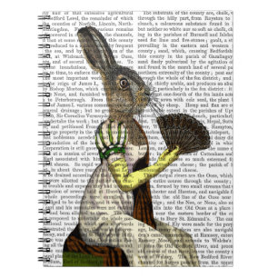 Miss Hare Notebook