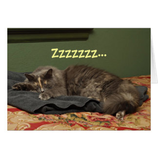 Miss Kitty's Big Day