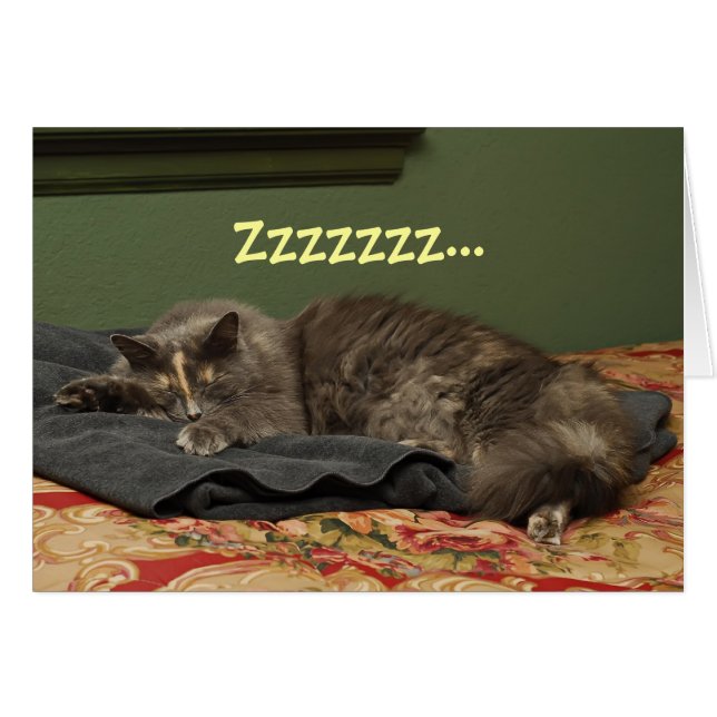 Miss Kitty's Big Day (Front Horizontal)