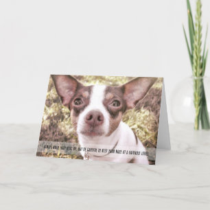 MISS LILY Greeting Card