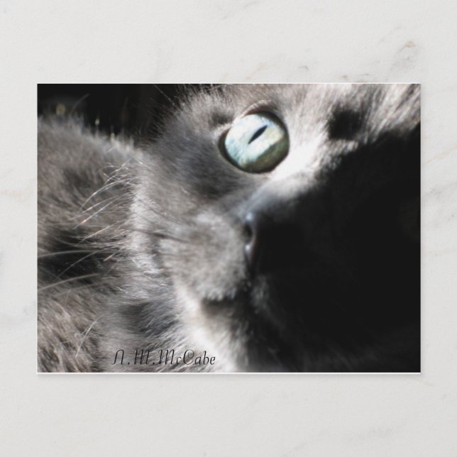 "Miss Precious" Postcard (Front)