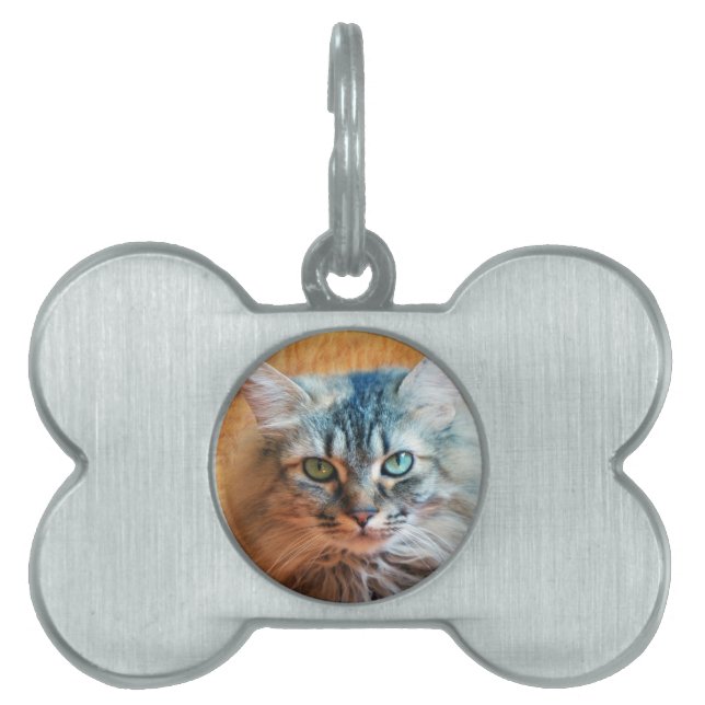 Miss Tootles Pet Tag (Front)