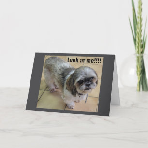 "MISS YOU AT THANKSGIVING" CARD