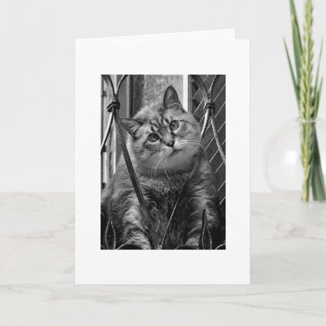 Miss You Card (Front)