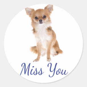 Miss You Chihuahua Puppy Dog Sticker Label