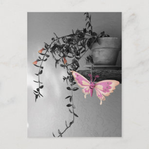 Miss You Colour Splash Butterfly Still Life Photo Postcard
