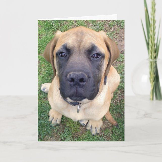 Miss You- cute English Mastiff dog photo Card (Front)