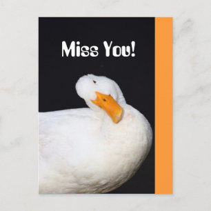 Miss You! Cute White Duck Postcard