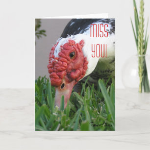 Miss You Eye of the Duck Close-Up Photo Template