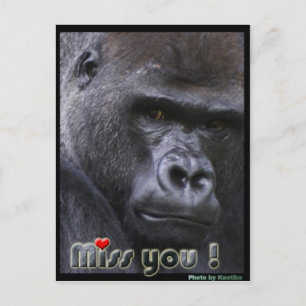 Miss you Gorilla Postcard