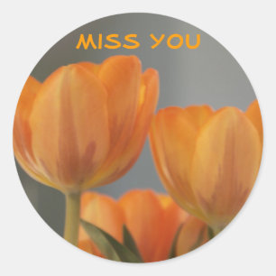 Miss you, orange cream Tulips Classic Round Sticker