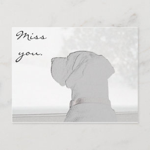 Miss you. postcard