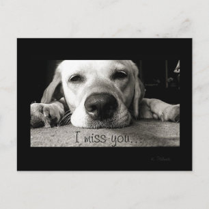 Miss you! postcard