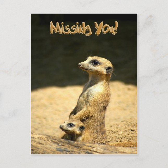 Miss You Postcard (Front)
