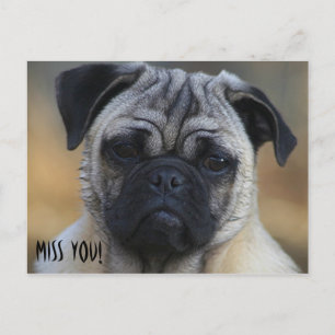 Miss YOU! Postcard