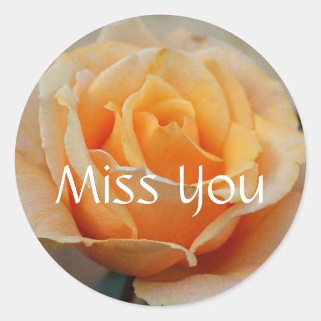 Miss you, rose in Peach Classic Round Sticker (Front)