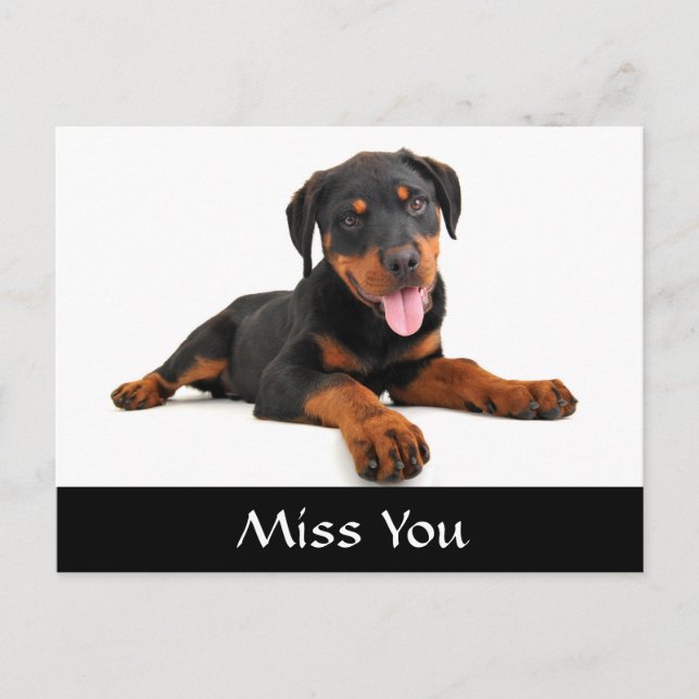Miss You Rottweiler Puppy Dog Greeting Postcard (Front)