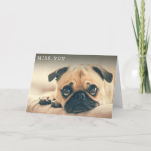 Miss You Sad Cute Pug Photo Card