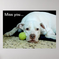 Miss you sad puppy with toy ball - cute dog