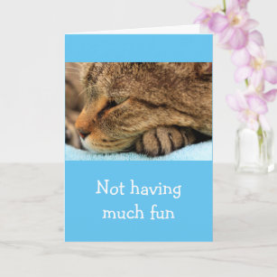 Cute Cat Miss You Cards, Greeting Cards & More | Zazzle CA