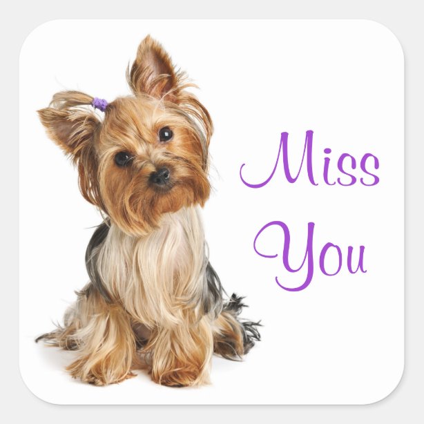 Miss You Stickers Zazzle Ca