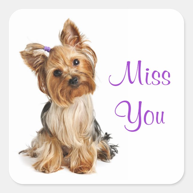 Miss You Yorkshire Terrier Puppy  Dog Stickers (Front)