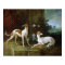 Misse and Turlu, two greyhounds of Louis XV