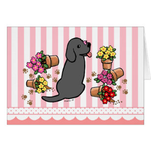 Missime Black Labrador