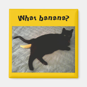 Missing banana cat toy magnet