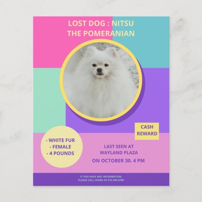 Missing Dog Modern Colourful Photo Poster  Flyer (Front)