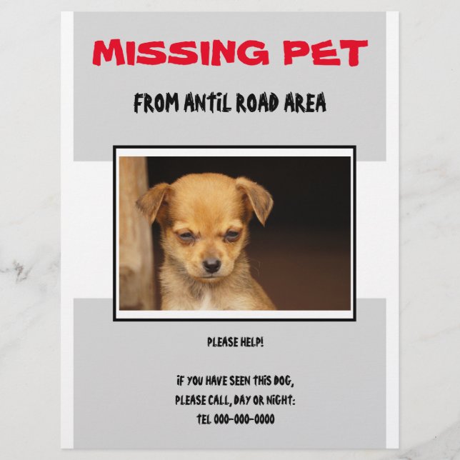 MISSING PET 02  FLYER POSTER (Front)