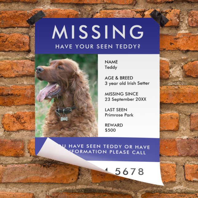 Missing Pet | Modern Blue Photo Poster Flyer (Creator Uploaded)