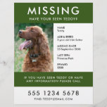 Missing Pet | Modern Green Photo Poster Flyer<br><div class="desc">A simple missing pet flyer poster template, to help spread awareness in the search of a missing dog, cat or other pet. The text is easy to personalize including name, age, breed, missing date, place last seen, reward or ther information. There is space to include a large phone number and...</div>
