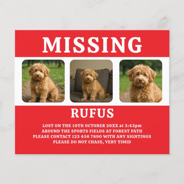 Missing Pet or Person Personalized Flyer (Front)