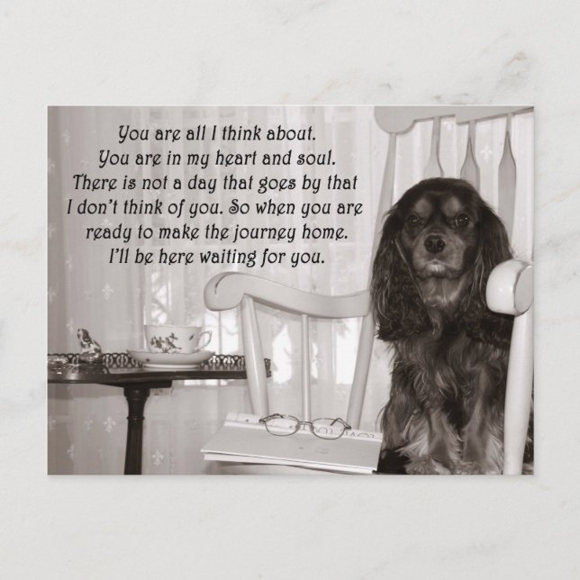 Missing You: A Cavalier KIng Charles Spaniel Card (Front)