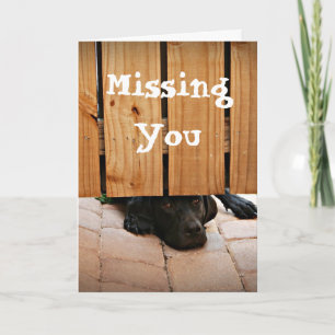 Missing You (Black Lab) Card