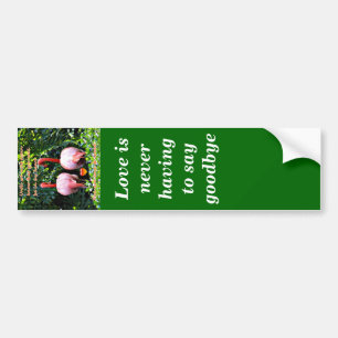 Missing You_ Bumper Sticker