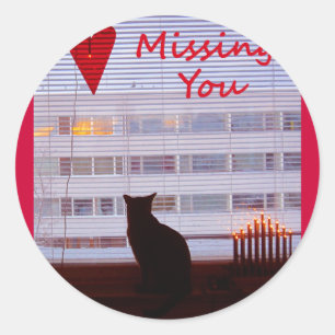 Missing You Classic Round Sticker