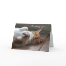 Missing you Cute cat sleeping Card