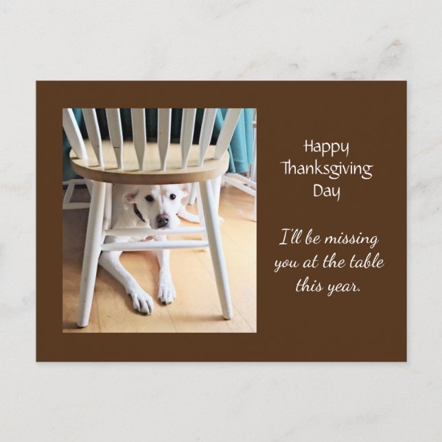Missing You Cute White Dog Brown Thanksgiving Postcard (Front)