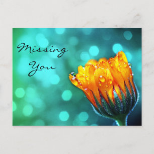 Missing You, Golden Marigold on Teal Bokeh Postcard