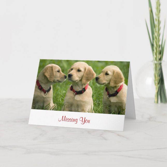 Missing You Golden Retriever Puppies  Note Card (Front)