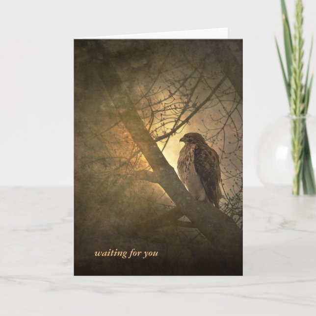 missing you-hawk in tree card (Front)