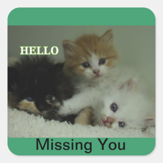 Missing You kittens stickers (Front)