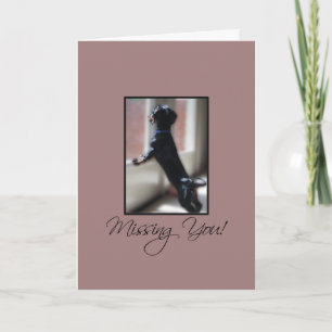 Missing You Little Dog Watching Out Window Card