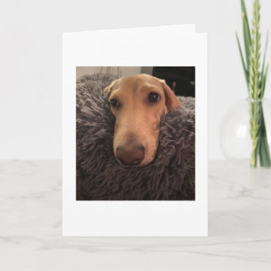 Missing You MillieGram Card