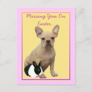 Missing you on  Easter French bulldog postcard