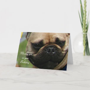 Missing you on your Birthday French Bulldog card