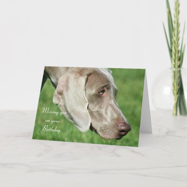 Missing you on your Birthday Weimaraner Card (Front)