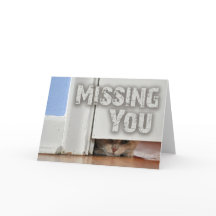Missing You Peeking Kitty